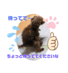 サンママの家族（個別スタンプ：17）