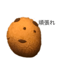 クッキー1111111111111111（個別スタンプ：16）