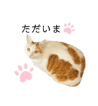 ねこのスタンプ(備後弁あり)（個別スタンプ：4）