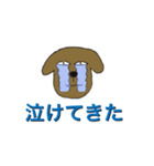 細目の犬（個別スタンプ：4）