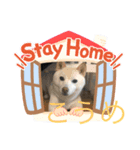小梅、小虎の日常（個別スタンプ：1）