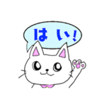 しろねこミーちゃん♪（個別スタンプ：14）