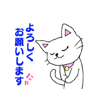 しろねこミーちゃん♪（個別スタンプ：16）