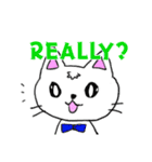 しろねこミーちゃん♪（個別スタンプ：19）