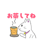 しろねこミーちゃん♪（個別スタンプ：20）