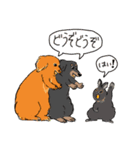 犬、ときどきウサギ（個別スタンプ：12）