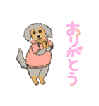 犬、ときどきウサギ（個別スタンプ：17）