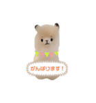 ポジティブで可愛いアルパカ(40個 敬語有)（個別スタンプ：5）