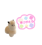 ポジティブで可愛いアルパカ(40個 敬語有)（個別スタンプ：9）