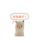 ポジティブで可愛いアルパカ(40個 敬語有)（個別スタンプ：16）
