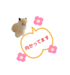 ポジティブで可愛いアルパカ(40個 敬語有)（個別スタンプ：22）