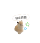 ポジティブで可愛いアルパカ(40個 敬語有)（個別スタンプ：34）