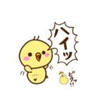 ぴよまるの平和な1日（個別スタンプ：40）