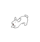 ウサギの日課。（個別スタンプ：10）