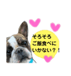 べーヴ03（個別スタンプ：11）