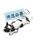 べーヴ03（個別スタンプ：23）
