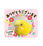 だいすきぴーちゃん（個別スタンプ：5）