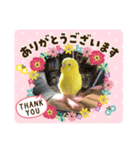 だいすきぴーちゃん（個別スタンプ：9）