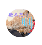 僕のペット達1（個別スタンプ：9）