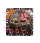 僕のペット達1（個別スタンプ：16）