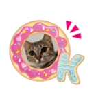 富安家の猫達2（個別スタンプ：4）