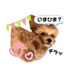うちの子モナスタンプ2（個別スタンプ：7）