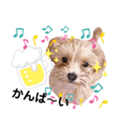 うちの子モナスタンプ2（個別スタンプ：20）