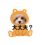 うちの子モナスタンプ2（個別スタンプ：22）