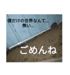 伝説の謝罪！ポエムをそえ効果倍増編（個別スタンプ：5）