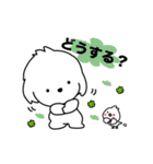 白い小さな犬☆レオとルウ（個別スタンプ：5）