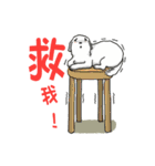 スイートなマルチーズ - MILUの日常生活（個別スタンプ：8）