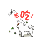 スイートなマルチーズ - MILUの日常生活（個別スタンプ：24）