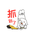 スイートなマルチーズ - MILUの日常生活（個別スタンプ：27）