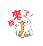 スイートなマルチーズ - MILUの日常生活（個別スタンプ：40）