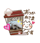 家のニコちゃん1203（個別スタンプ：1）
