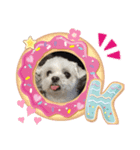家のニコちゃん1203（個別スタンプ：2）