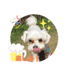家のニコちゃん1203（個別スタンプ：5）