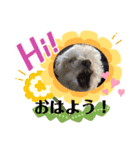 家のニコちゃん1203（個別スタンプ：6）