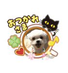 家のニコちゃん1203（個別スタンプ：8）