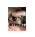 愉快な仲間たち しおっしゅ（個別スタンプ：3）