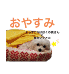 ゴハスタンプ（個別スタンプ：4）