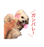 ゴハスタンプ（個別スタンプ：14）
