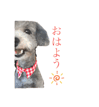 CoCoちゃん^^（個別スタンプ：1）