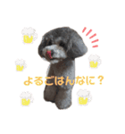 CoCoちゃん^^（個別スタンプ：3）