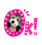 CoCoちゃん^^（個別スタンプ：5）