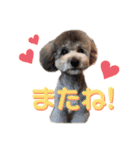 CoCoちゃん^^（個別スタンプ：9）