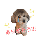 CoCoちゃん^^（個別スタンプ：11）