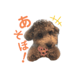 CoCoちゃん^^（個別スタンプ：15）