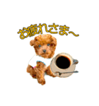 コハクちゃんの大冒険！（個別スタンプ：3）