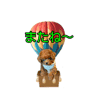 コハクちゃんの大冒険！（個別スタンプ：4）